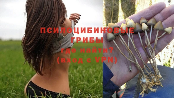 герыч Аркадак