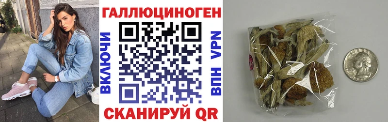 наркошоп  Лагань  Галлюциногенные грибы прущие грибы 