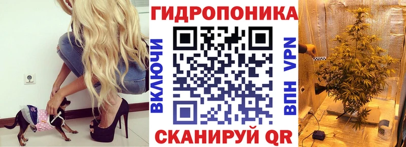 Канабис гибрид  Лагань 